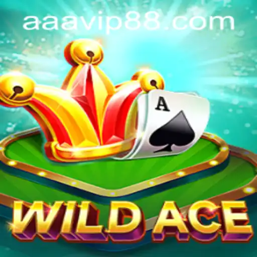 Discovering WildAce: The Thrilling Adventure Awaits